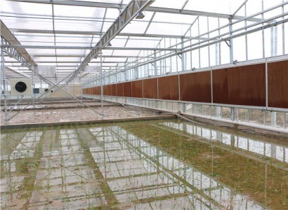 生態(tài)智能溫室