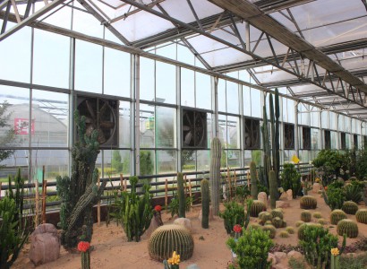 生態(tài)智能溫室